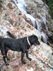 photo thumbnail #9