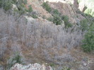 photo thumbnail #10