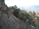 photo thumbnail #12