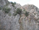 photo thumbnail #13