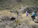 photo thumbnail #4