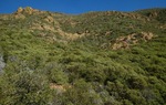 photo thumbnail #6