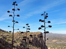 photo thumbnail #8