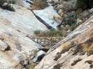 photo thumbnail #10