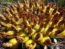 photo thumbnail #6