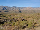 photo thumbnail #2