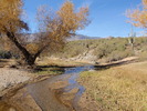 photo thumbnail #9