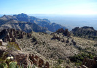 photo thumbnail #7
