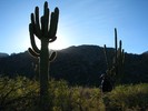 photo thumbnail #1