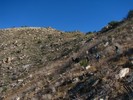 photo thumbnail #12