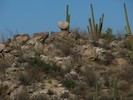 photo thumbnail #13