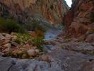 photo thumbnail #6