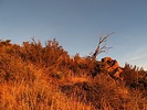 photo thumbnail #2