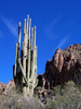 photo thumbnail #5