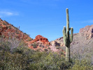 photo thumbnail #14