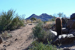 photo thumbnail #2