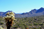 photo thumbnail #5