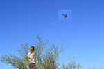 photo thumbnail #7