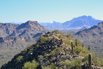photo thumbnail #9