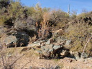photo thumbnail #1