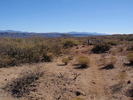 photo thumbnail #3