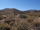 photo thumbnail #4