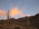photo thumbnail #7