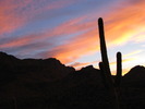 photo thumbnail #12
