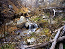 photo thumbnail #2