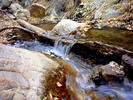 photo thumbnail #10