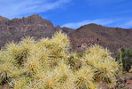 photo thumbnail #4