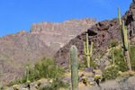 photo thumbnail #10