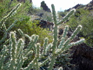 photo thumbnail #10