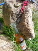 photo thumbnail #12