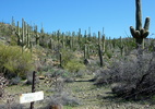 photo thumbnail #5