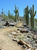 photo thumbnail #6