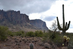 photo thumbnail #2