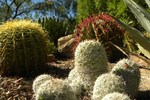 photo thumbnail #8