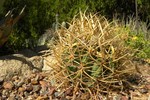 photo thumbnail #10