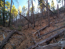photo thumbnail #4