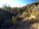 photo thumbnail #8