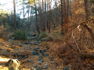 photo thumbnail #10