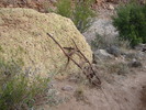 photo thumbnail #10
