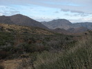 photo thumbnail #6