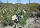 photo thumbnail #2