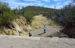 photo thumbnail #9