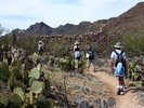 photo thumbnail #11