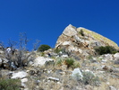 photo thumbnail #5