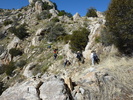 photo thumbnail #6