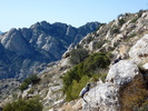 photo thumbnail #8